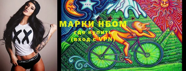 трава Коряжма