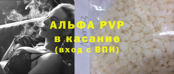 прущие грибы Козельск