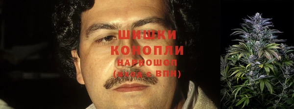 скорость Козловка