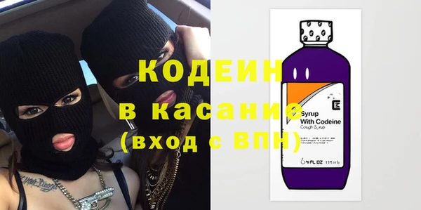 прущие грибы Козельск