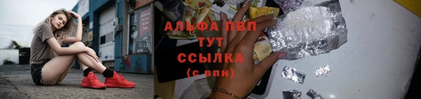 дмт Каменногорск