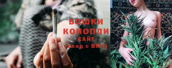 прущие грибы Козельск