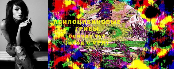 прущая мука Костерёво