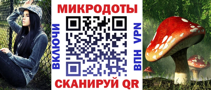 Галлюциногенные грибы GOLDEN TEACHER купить цена Петропавловск-Камчатский